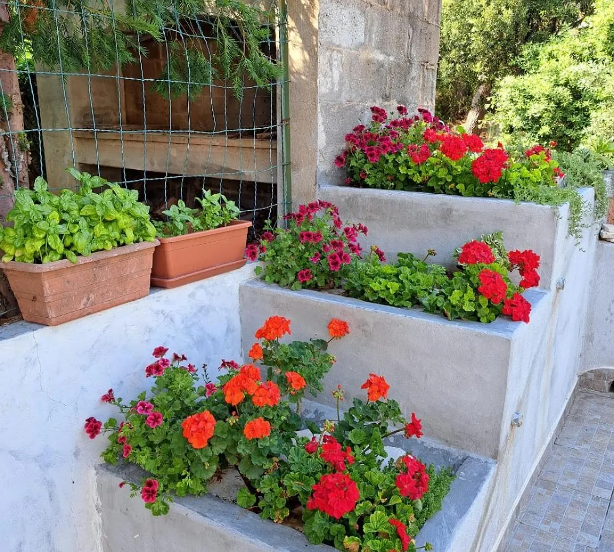 Domus De Mare Apartment Cala Gonone