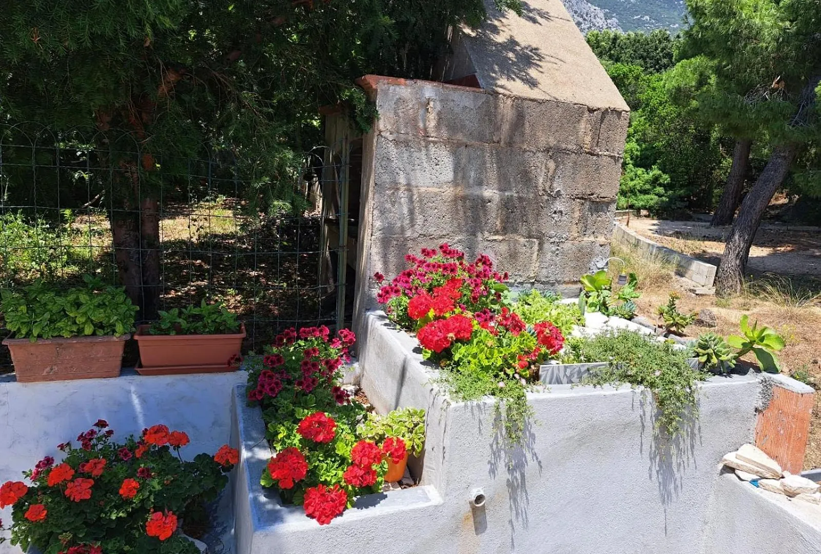 Domus De Mare Apartment Cala Gonone